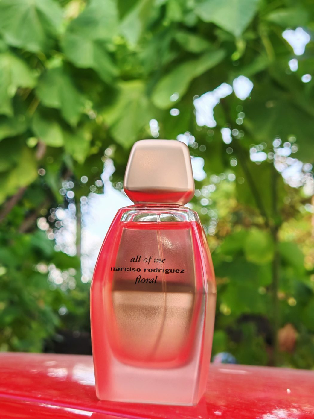 NARCISO 📦👸🇲🇾narciso all of me floral