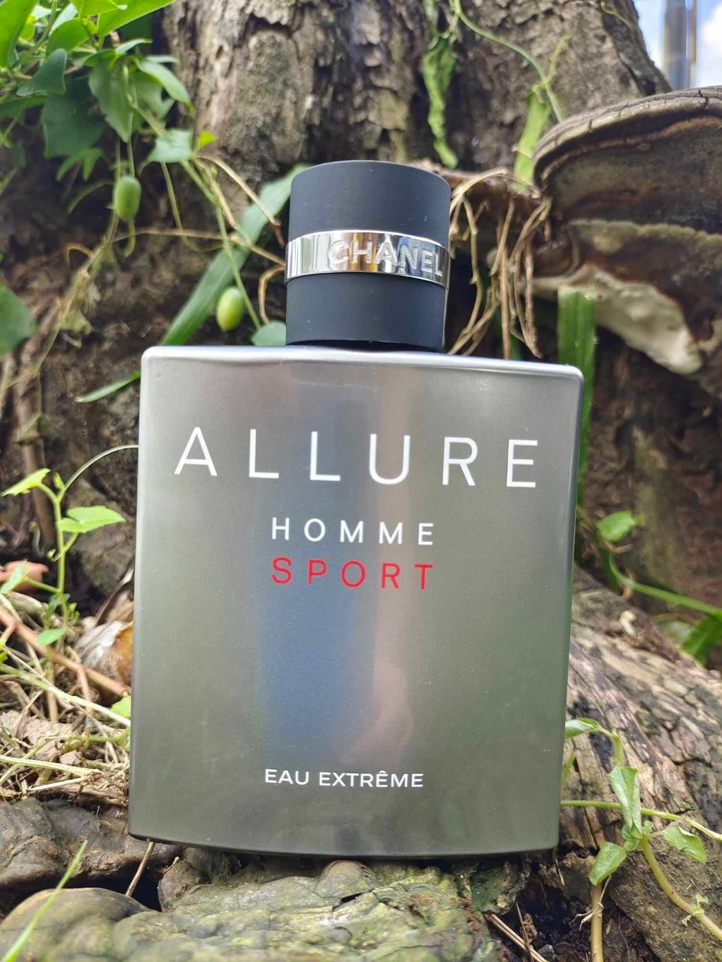 Chanel 🇻🇳👨⚕️📦Chanel allure extreme