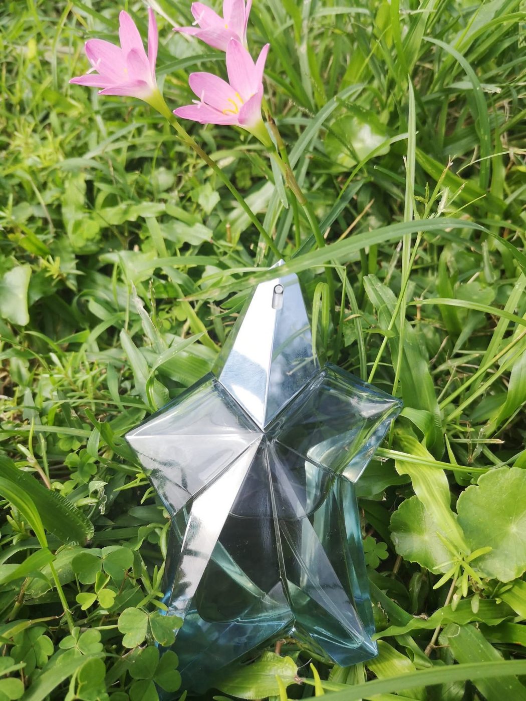 Angler mugler 🇲🇾👸📦💉Angler mugler edp