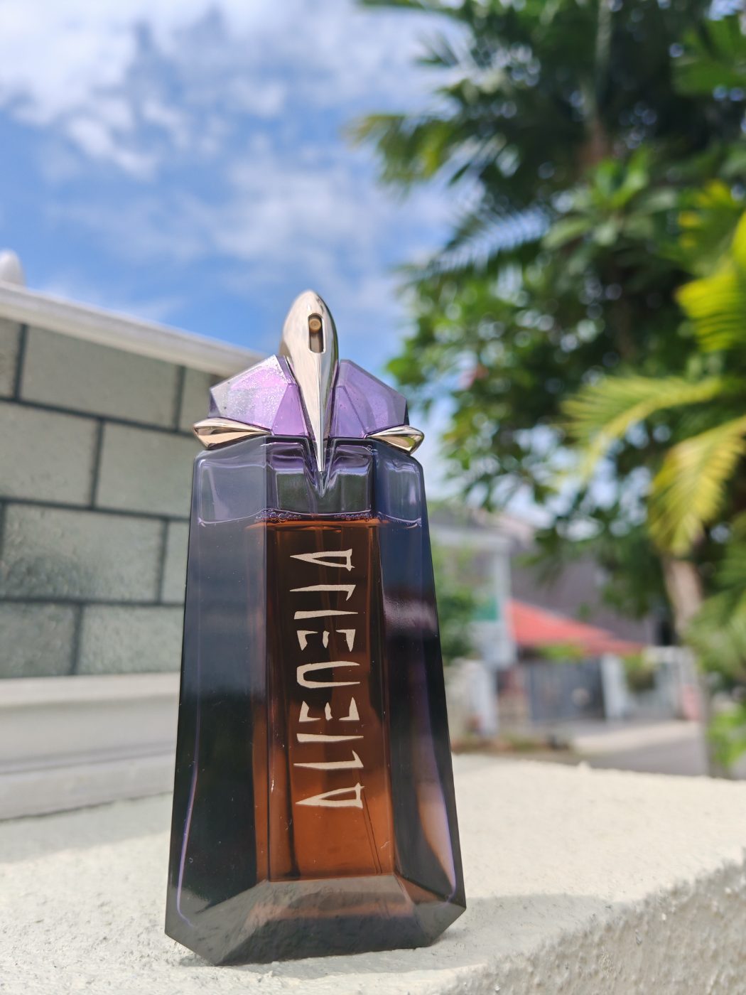 Angler mugler 👸🇲🇾📦💉Alien mugler edp (tím )