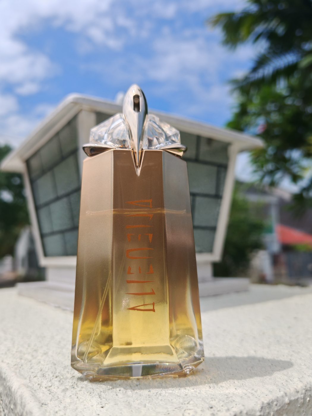 Angler mugler 🇲🇾👸📦💉Alien goddess edp