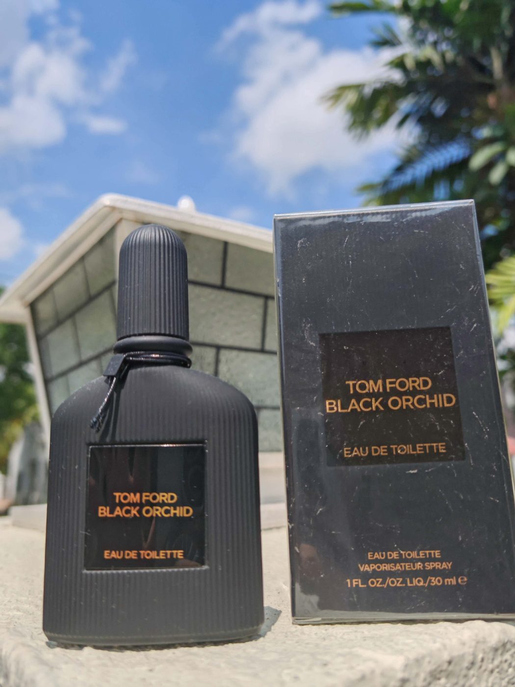 YSL 🇲🇾👨⚕️👸 📦Tomford Black orchid edt