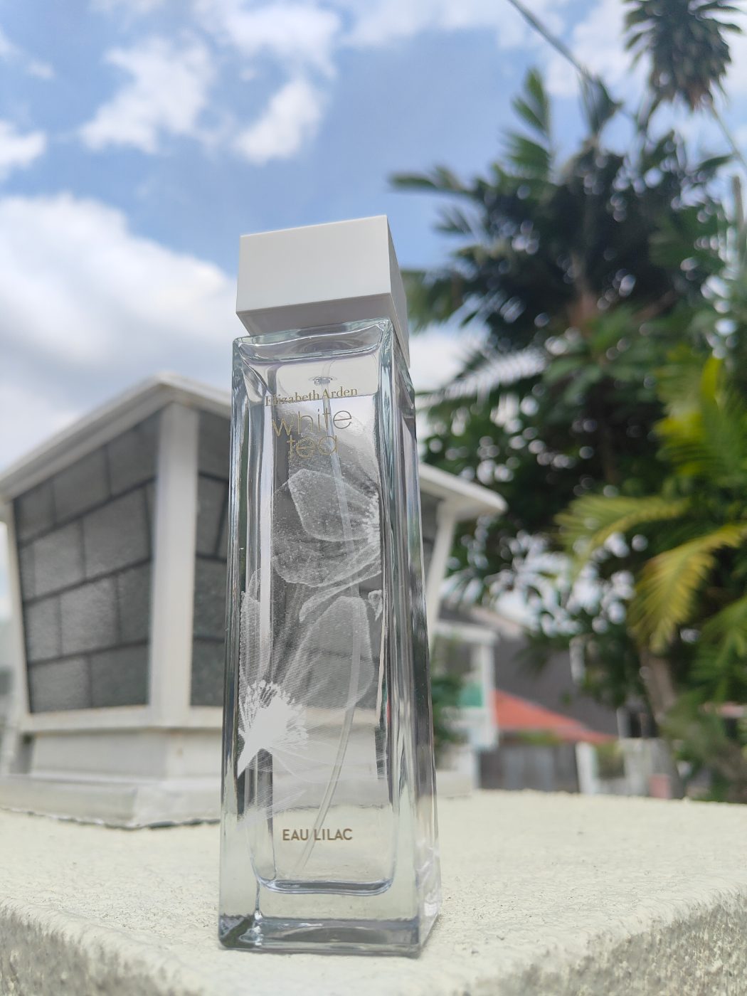 Elizabeth 👸📦🇲🇾🇻🇳elizabeth whiteta lilac