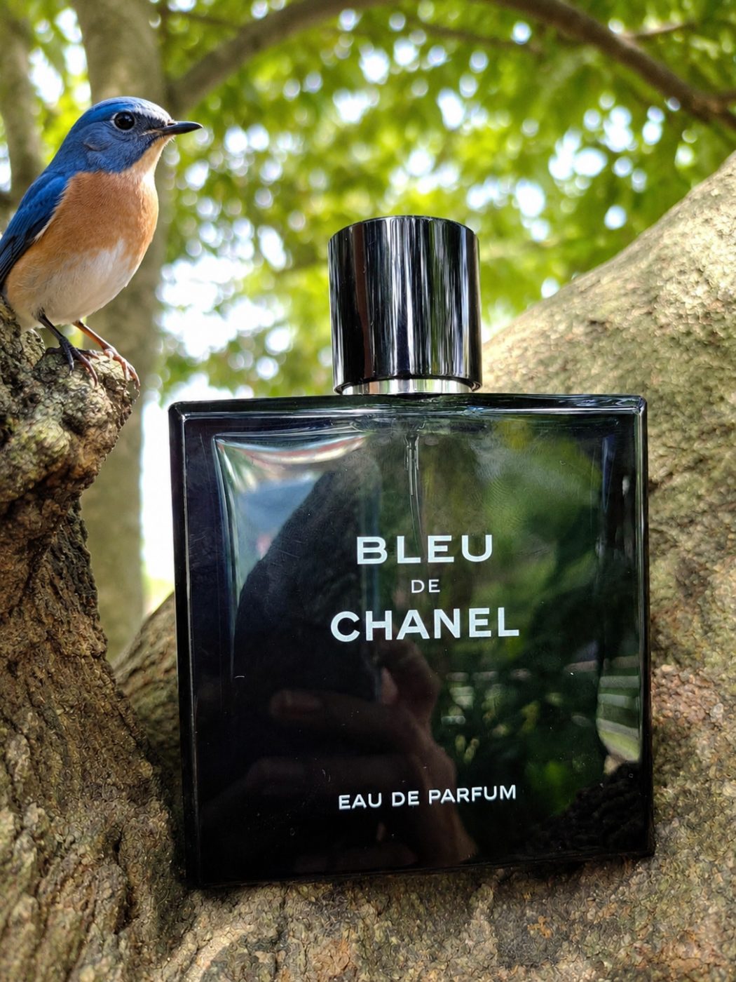 Chanel 🇲🇾full 100ml Chanel blue edp