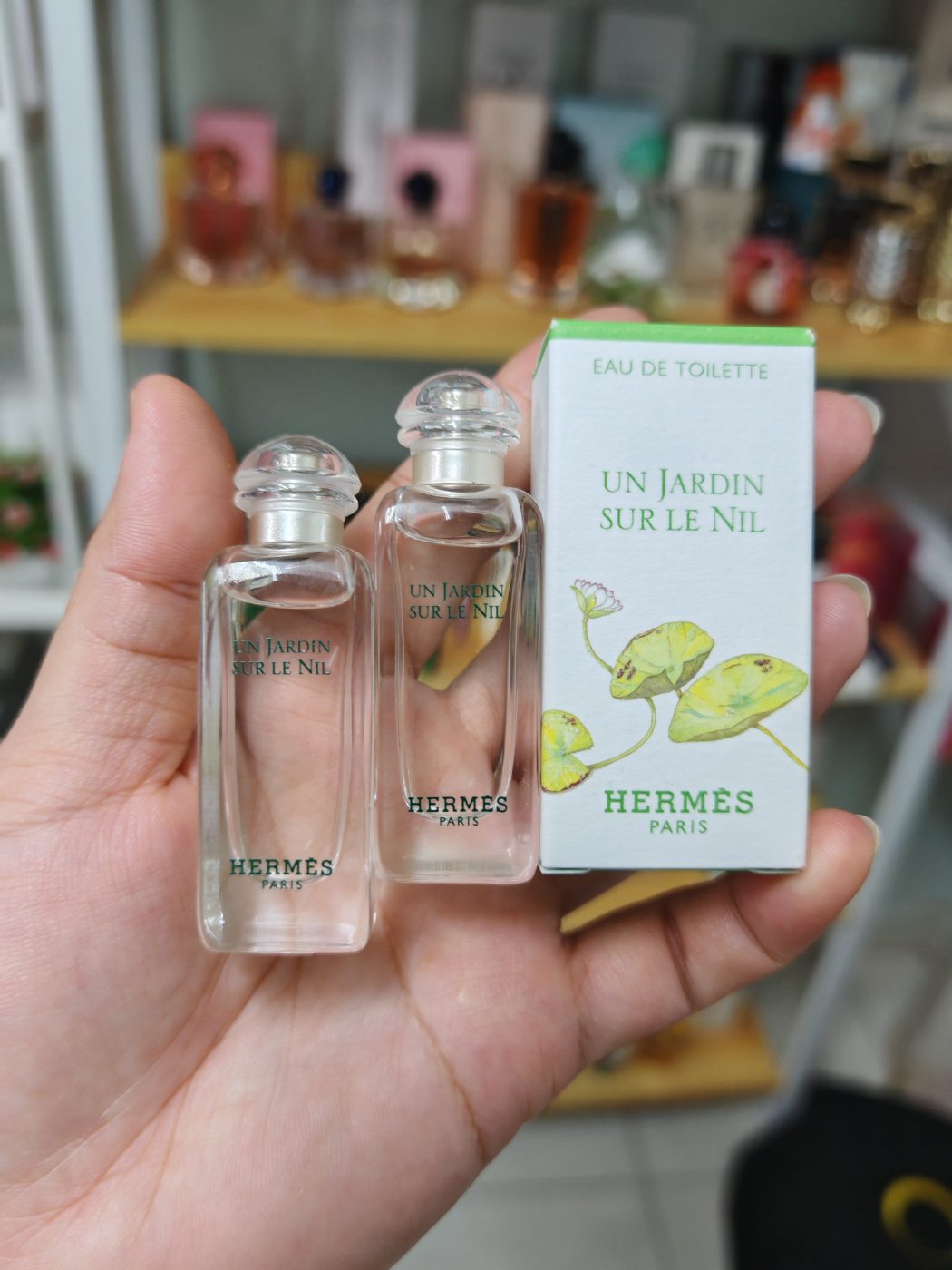 Hermes Un jerdin sur le nil edt