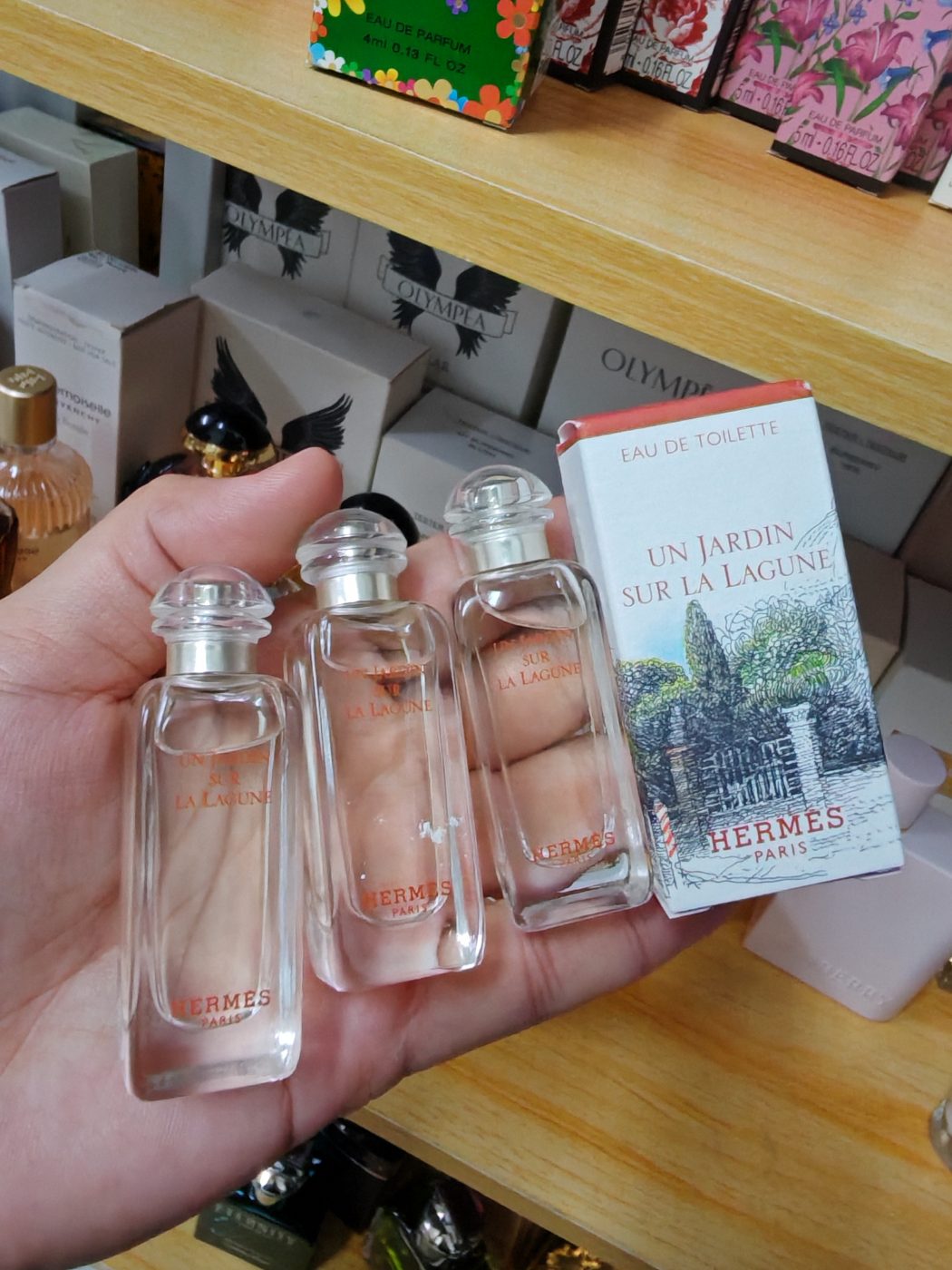 Hermes 🇲🇾👨⚕️👸Un jardin sur la lagune