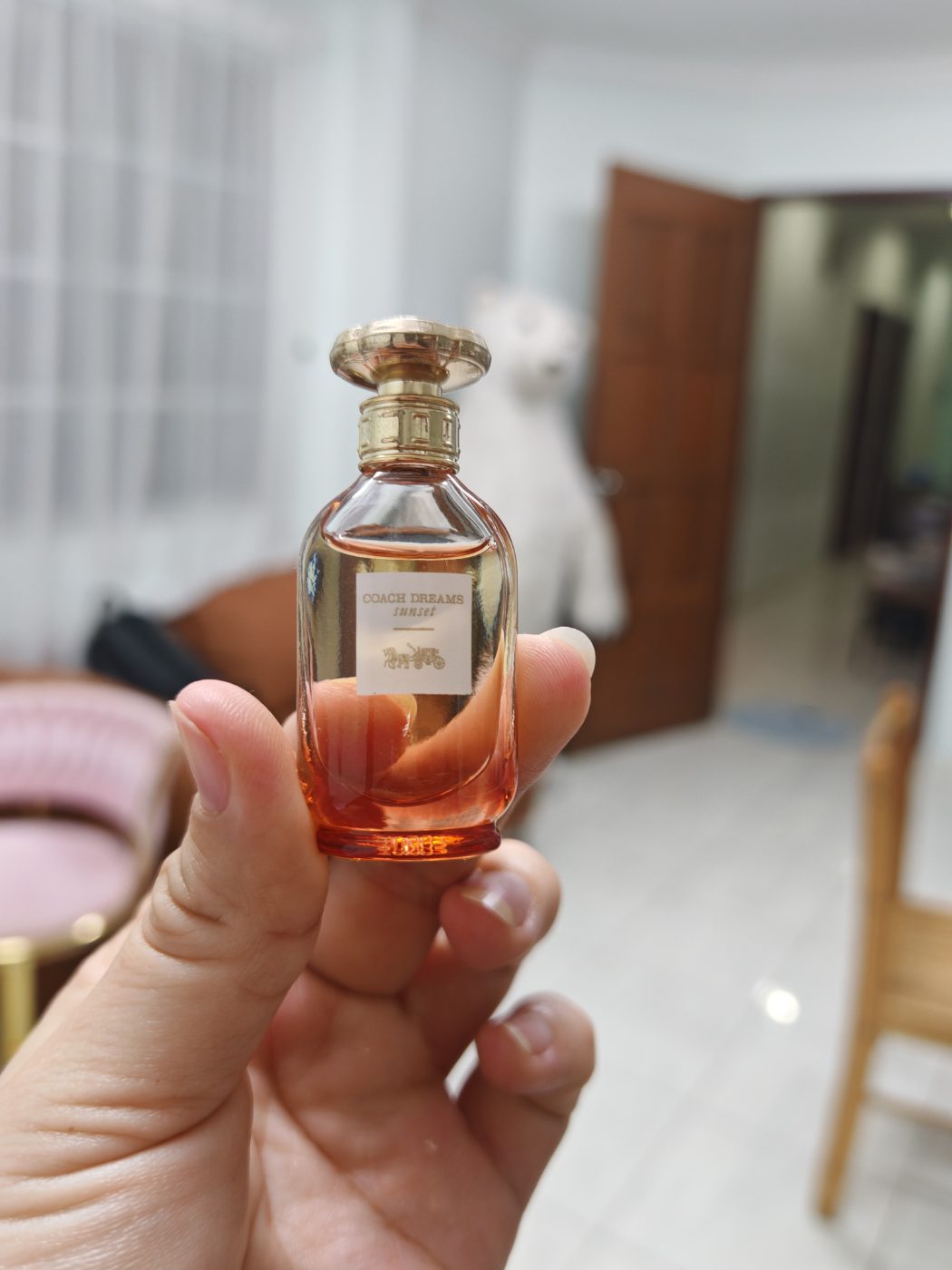 Coach 🇲🇾👸mini Dream coach sunset không hộp
