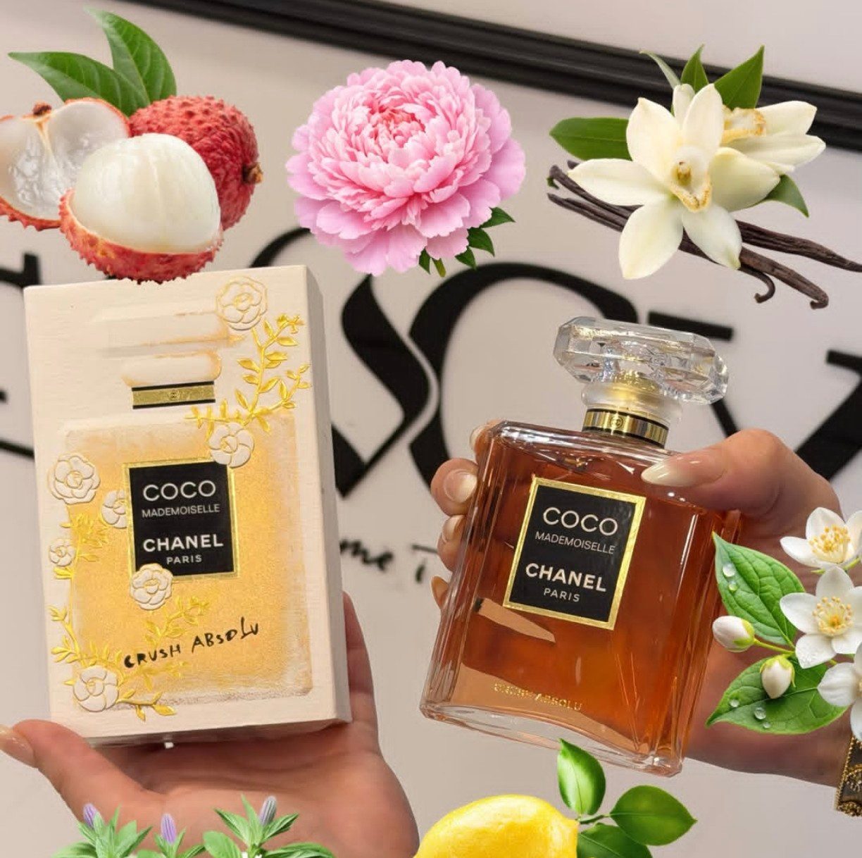 Chanel 🇻🇳👸Chanel coco mademoiselle crush absolute